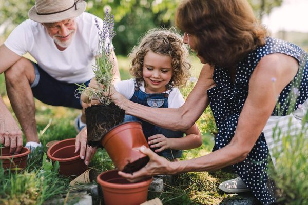 Quelques conseils pour créer votre propre jardin : par où commencer ?