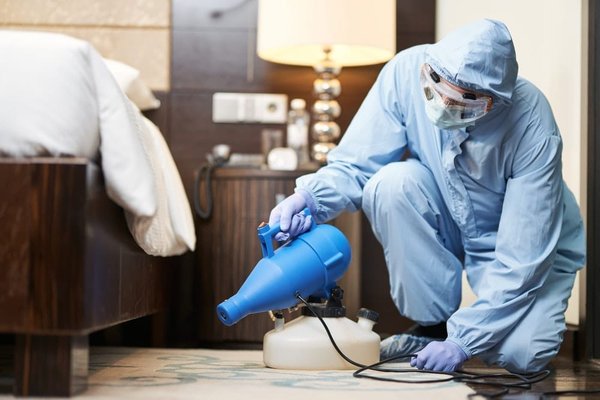 Quand faut-il envisager une désinfection de votre maison ?