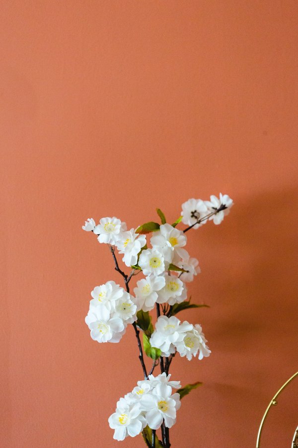L'éclat chaleureux de la couleur terracotta dans votre intérieur